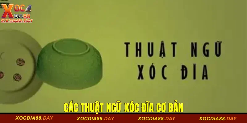 Thuật Ngữ Xóc Đĩa: Giải Mã Từ Cơ Bản Đến Nâng Cao 2 Các thuật ngữ xóc đĩa cơ bản