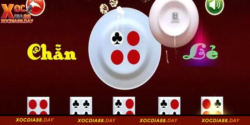 Top 07 Kinh Nghiệm Đánh Xóc Đĩa Online Tại Xocdia88 6 Kinh nghiệm đánh xóc đĩa online