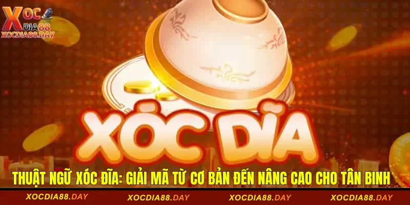 Thuật Ngữ Xóc Đĩa: Giải Mã Từ Cơ Bản Đến Nâng Cao  1 Thuật ngữ xóc đĩa